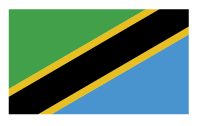 The tanzanian flag